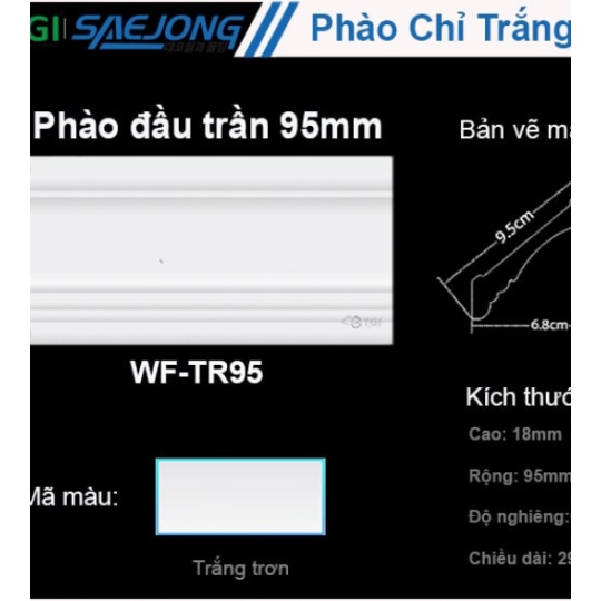 Phào Đầu Trần 95mm WF-TR95