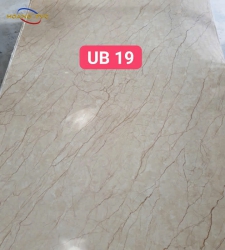 GIẢ ĐÁ HOA CƯƠNG UB19