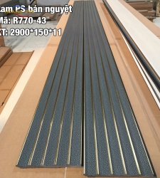 LAM SÓNG PS R770-43