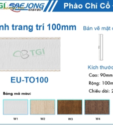 Thanh Trang Trí 100mm EU-TO100