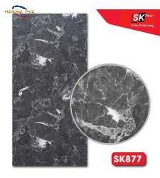 TẤM THAN TRE SK877
