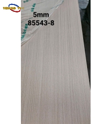 TẤM THAN TRE 85543-8