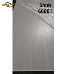 TẤM THAN TRE 66001